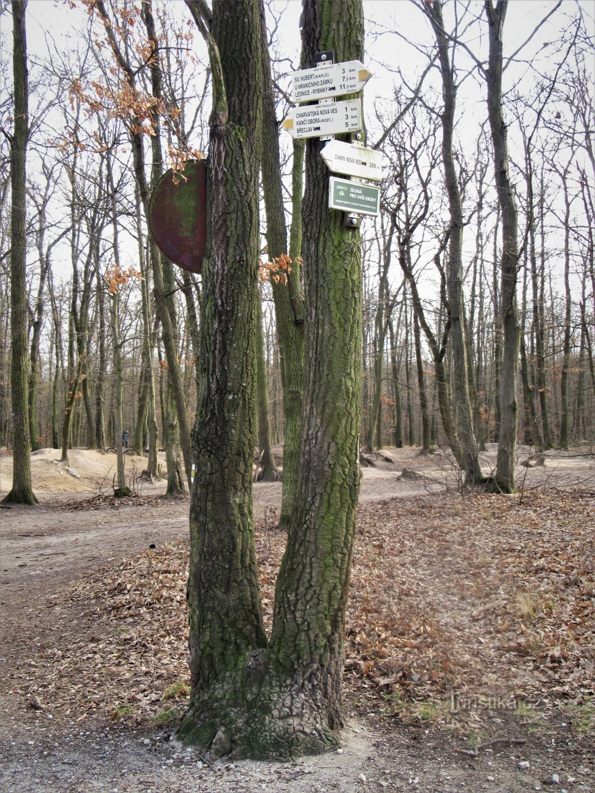 Het toeristische kruispunt Charvátská Nová Ves, spoorlijn, ligt aan de rand van het bos
