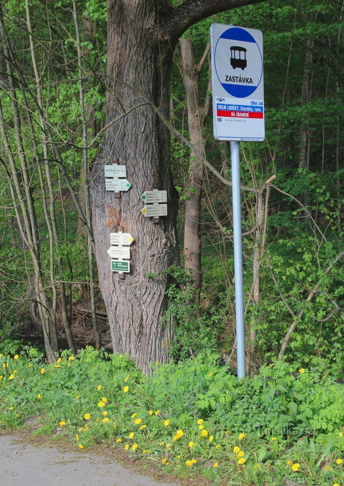 Tourist crossroads Chytálka