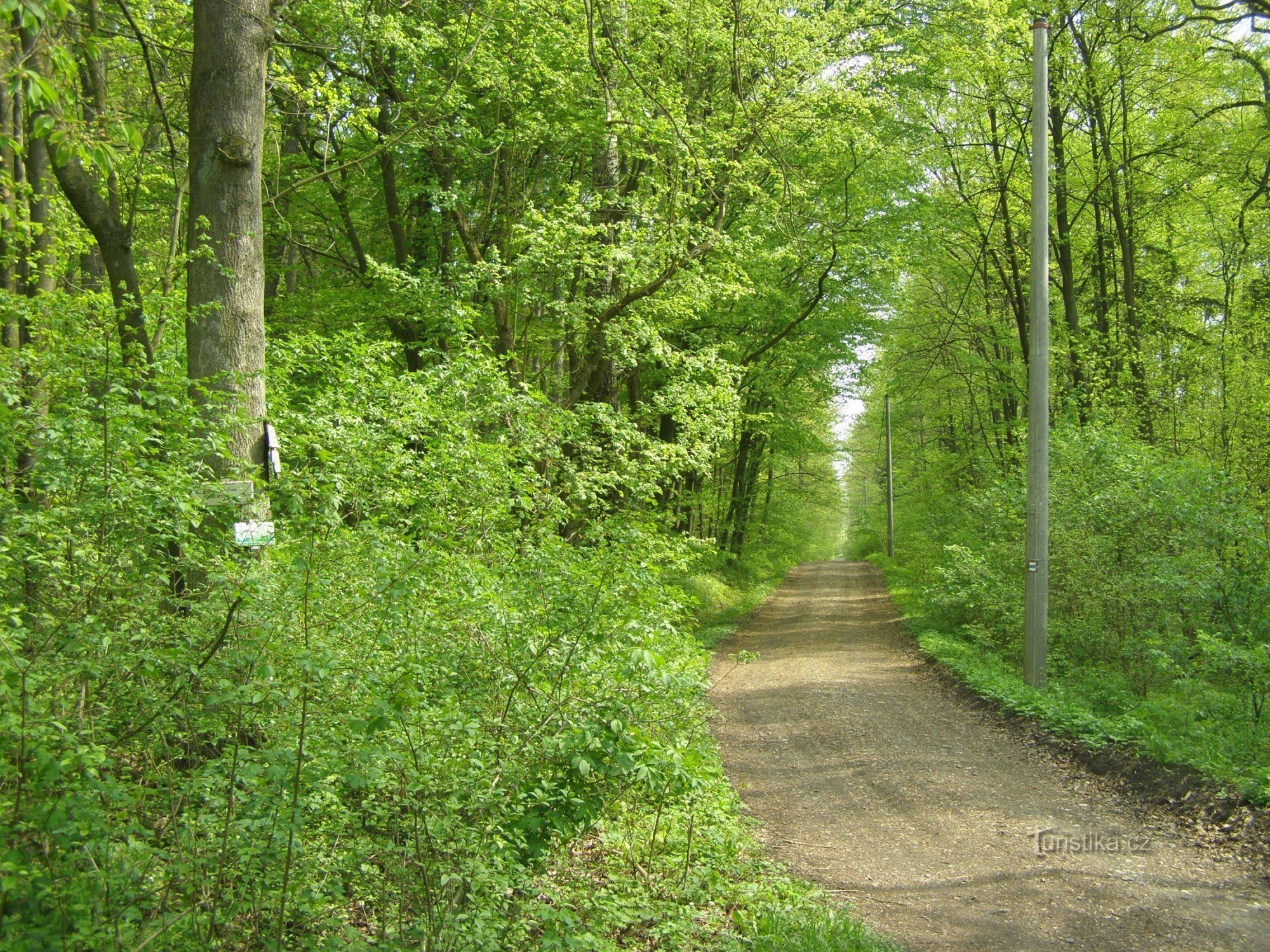 encruzilhada turística Dubno