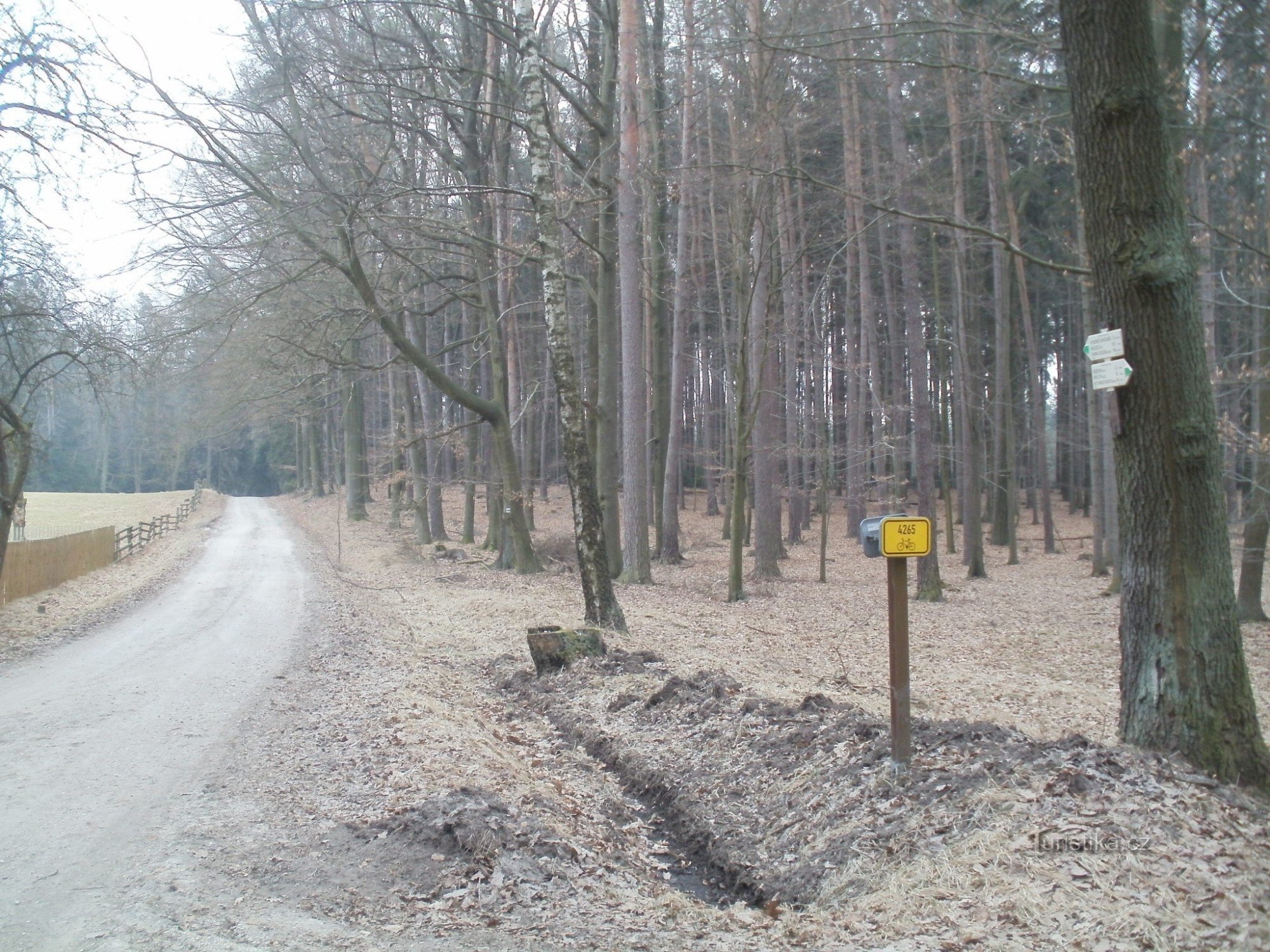 Touristische Kreuzung des Naturreservats Kindlovka