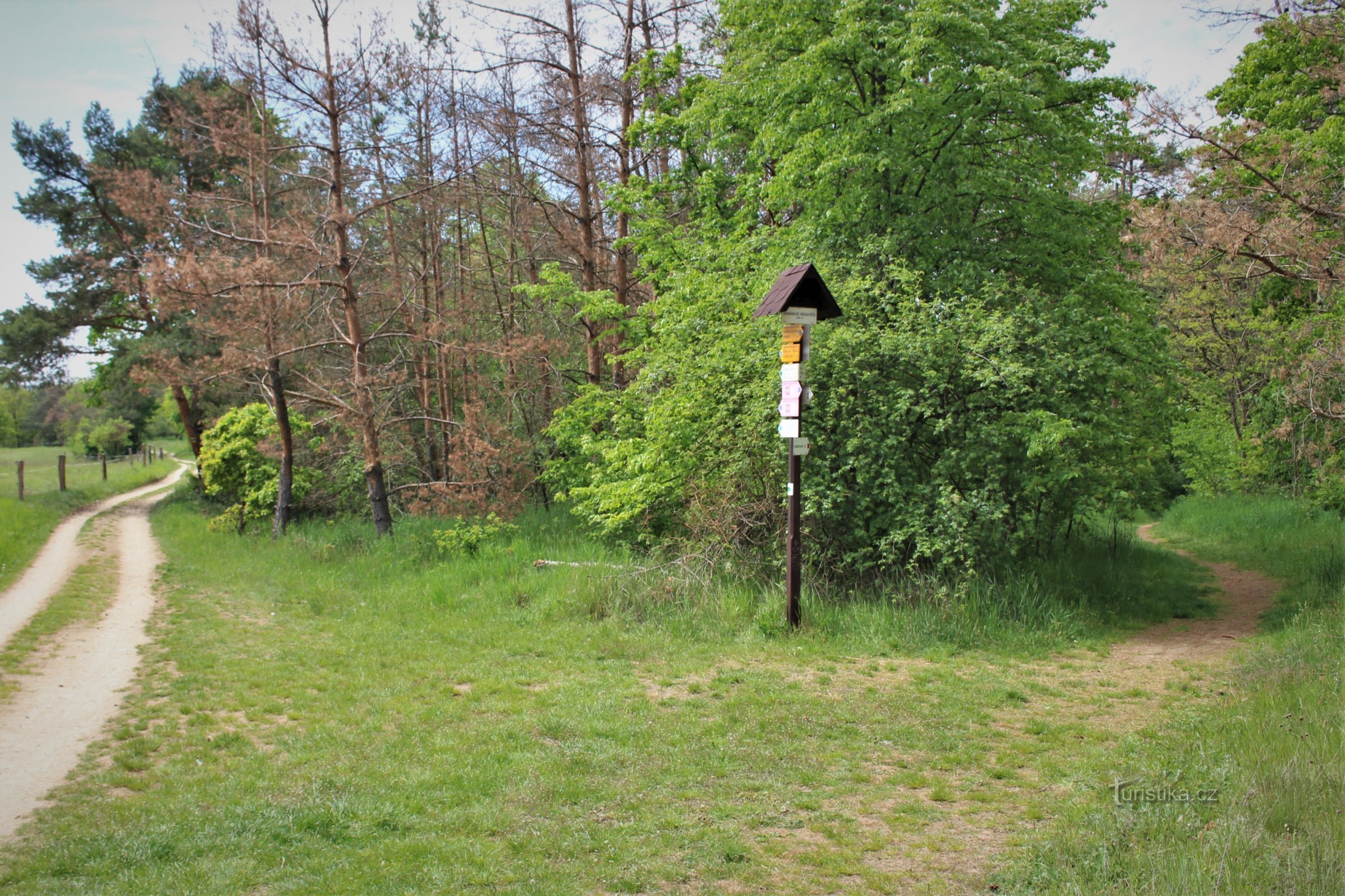 Crocevia turistico della brughiera di Havranické