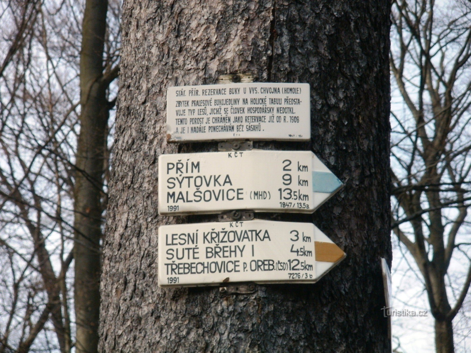 encruzilhada turística Homole (Buky perto de Vysoké Chvojno)