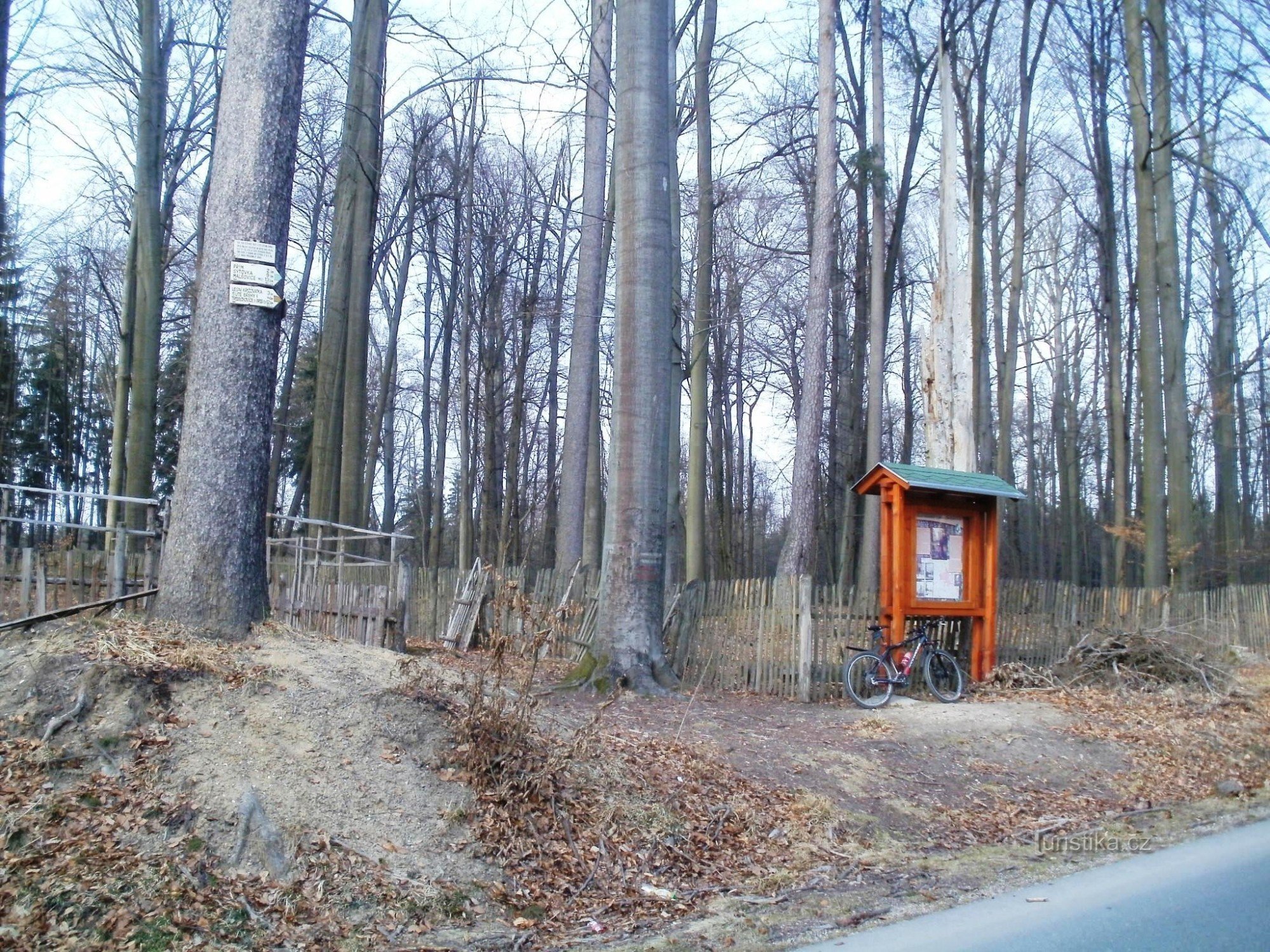 encrucijada turística Homole (Buky cerca de Vysoké Chvojno)