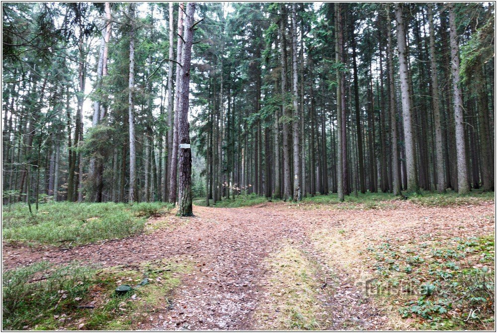 Kalousov tourist crossroads