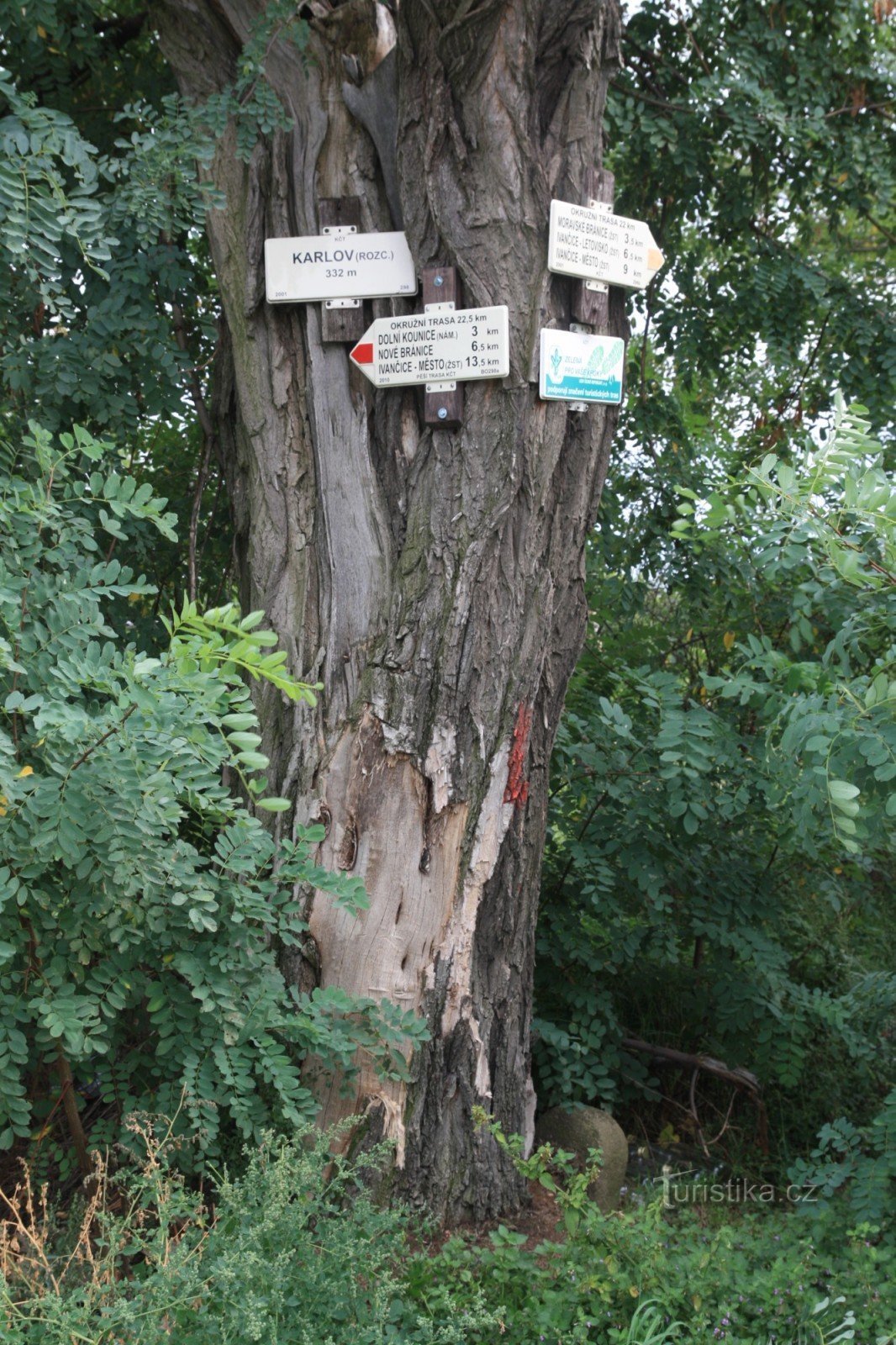 Tourist crossroads Karlov