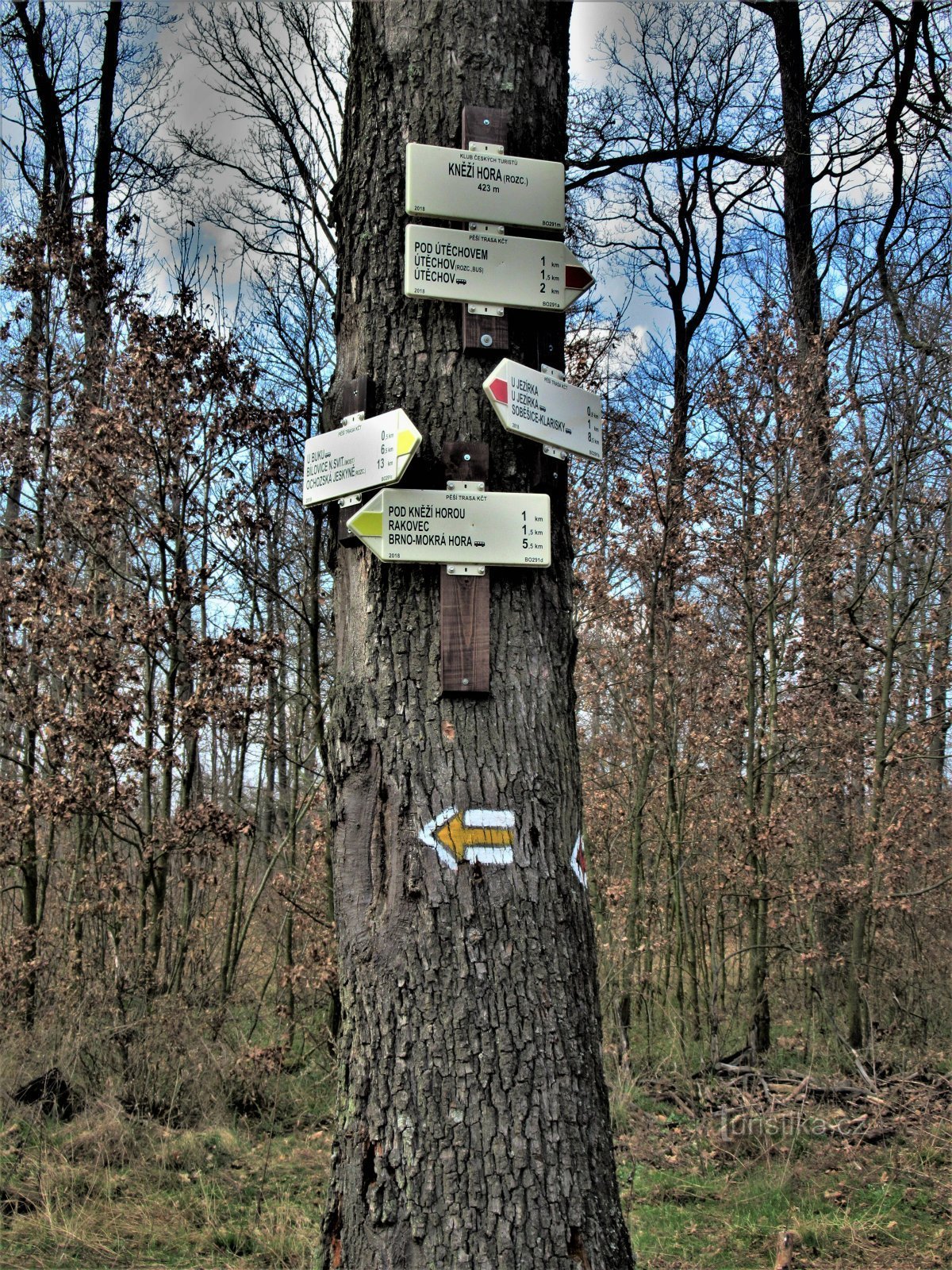 Kneží hora turistkorsning