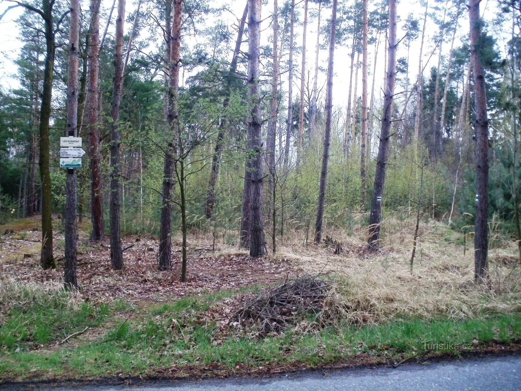 Rybničný šuma turističko raskrižje