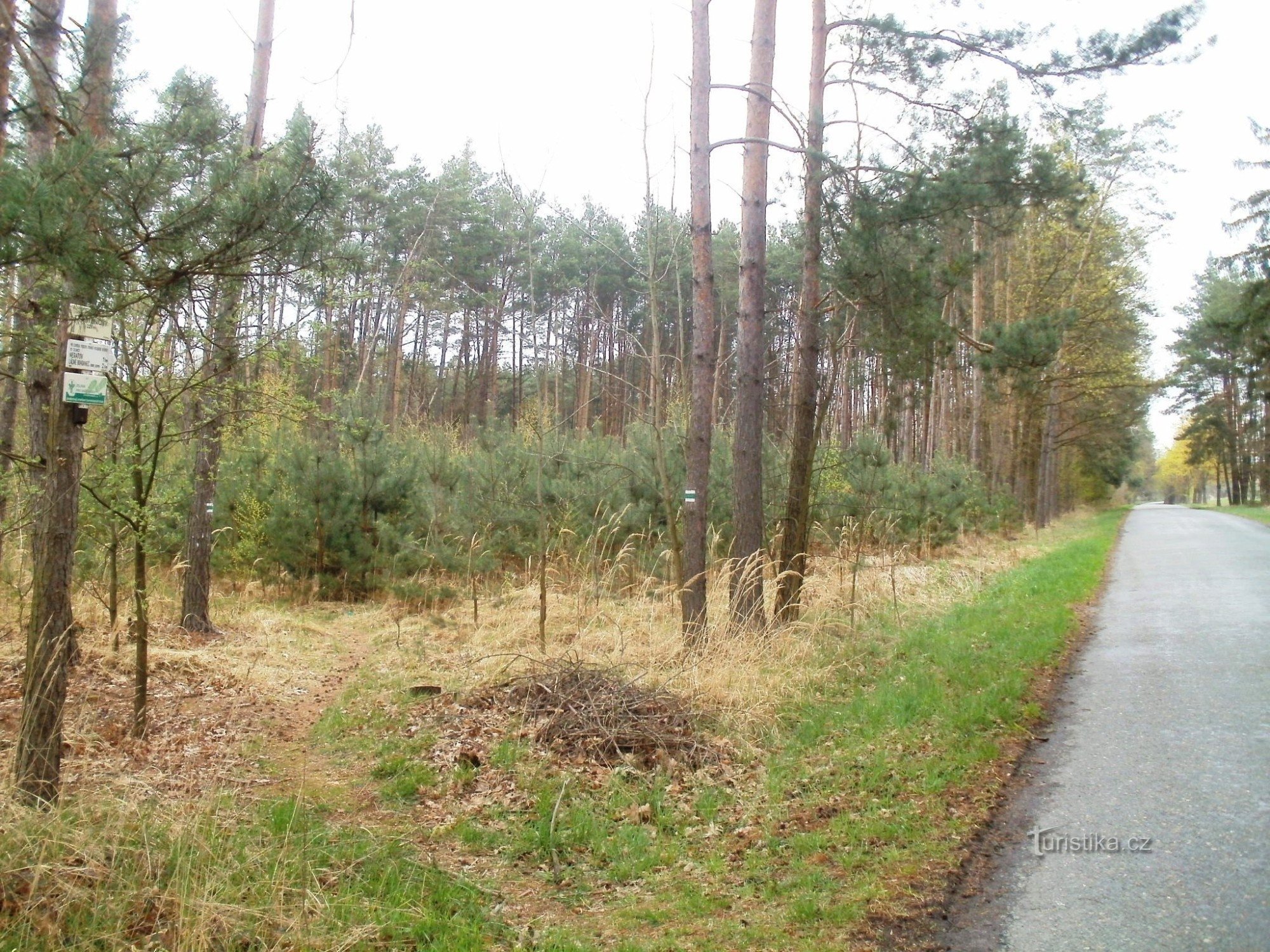 Touristenkreuzung Rybničný-Wald