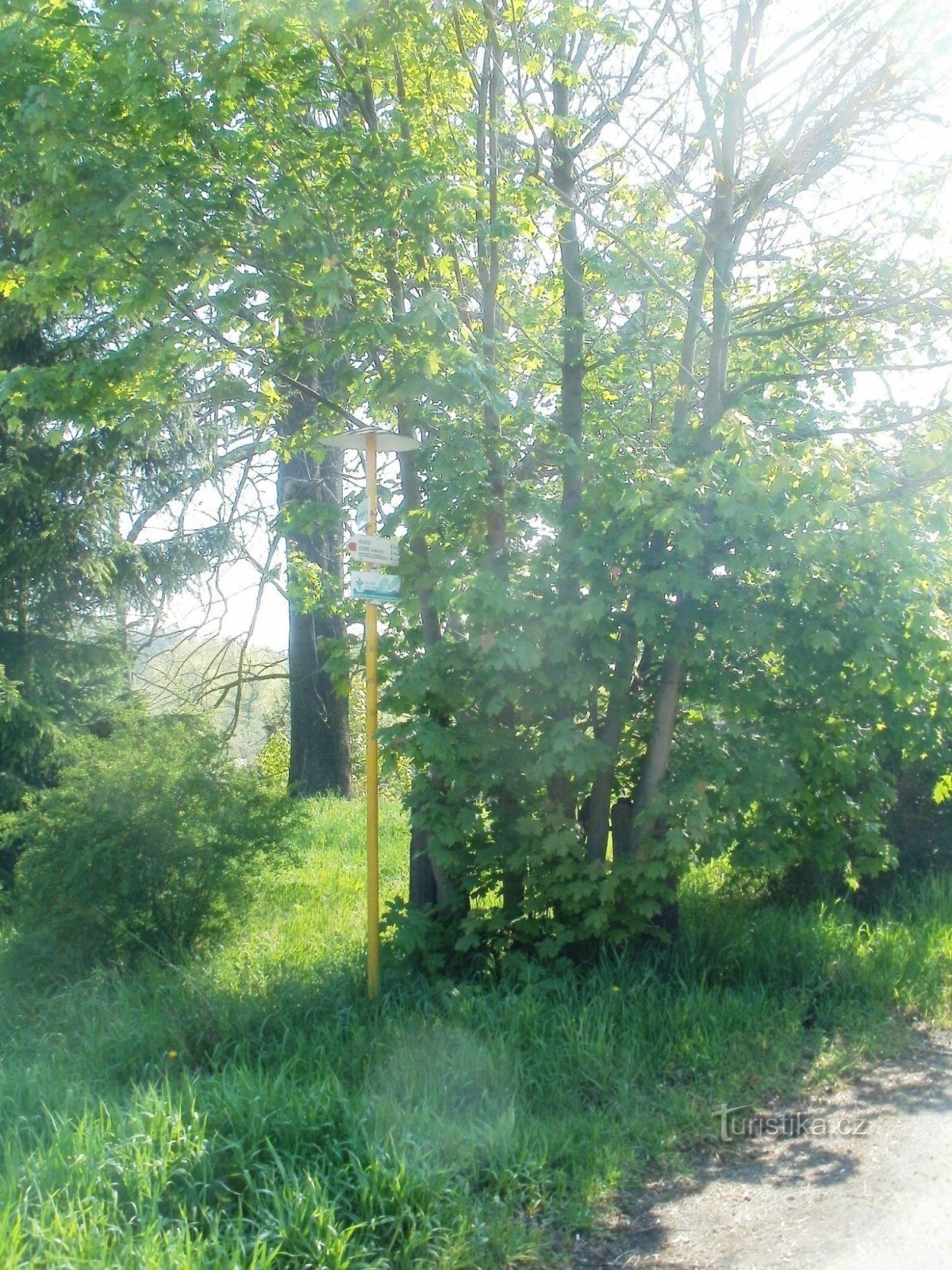 toeristisch kruispunt van Martinice in het Reuzengebergte - spoorweg, treinstation