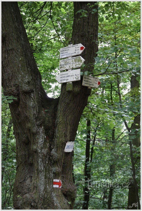 Toeristisch kruispunt Náchod, natuurreservaat