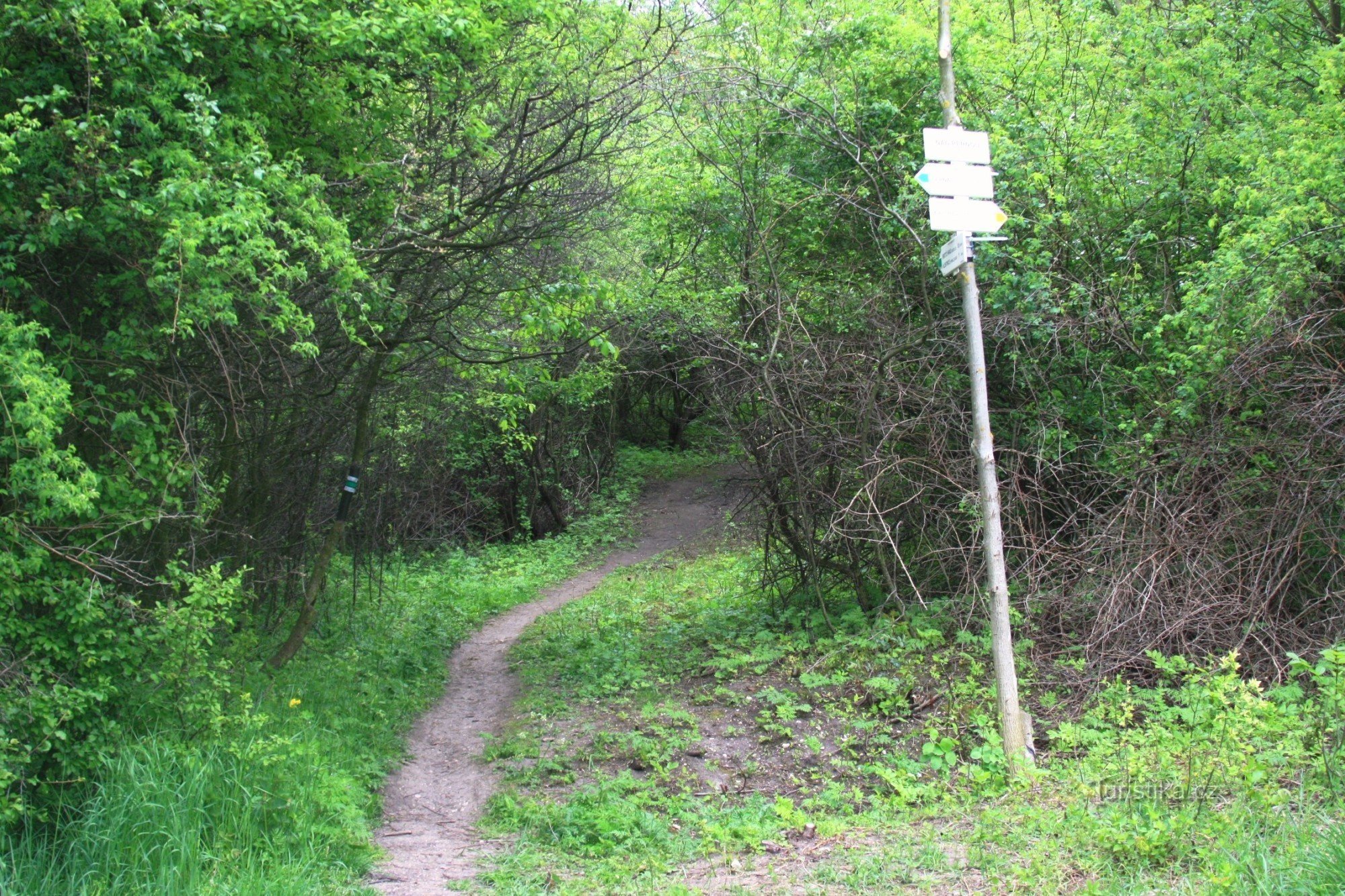 Touristenkreuzung Nad Pernou