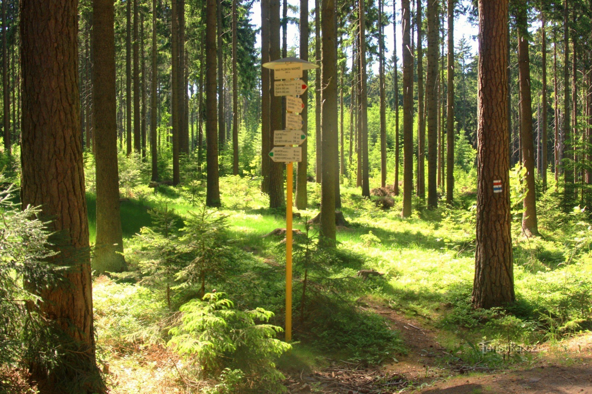 Tourist crossroads Above the Pilská reservoir