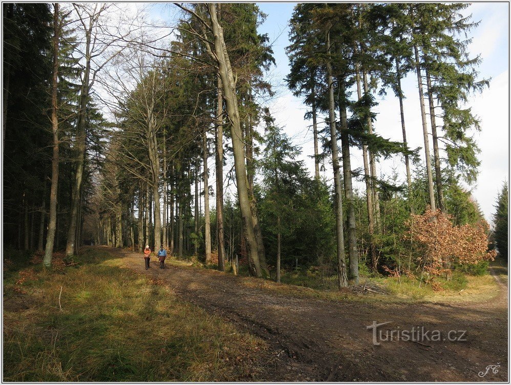 Turistiristeys Nad Rybnou nad Zdobnicí