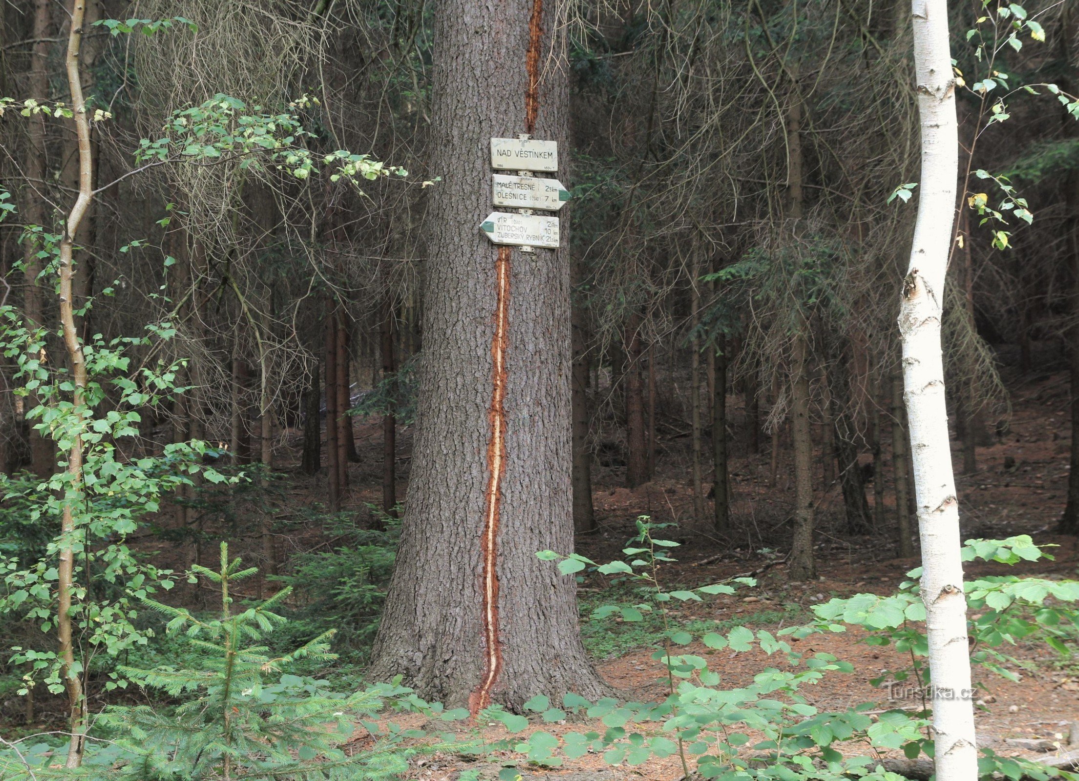 Incrocio turistico Nad Věstínek (estate 2015)