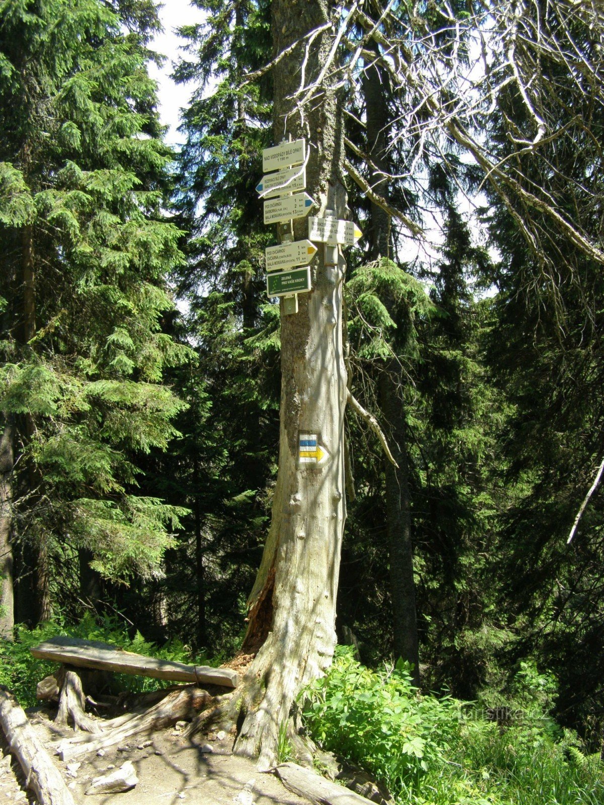 encrucijada turística - Por encima de las cascadas de Bílá Opava