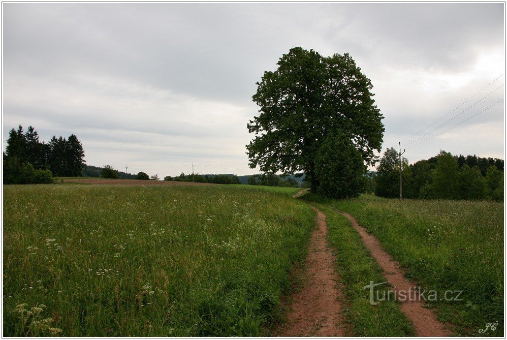 旅游十字路口 Nad Zbečník