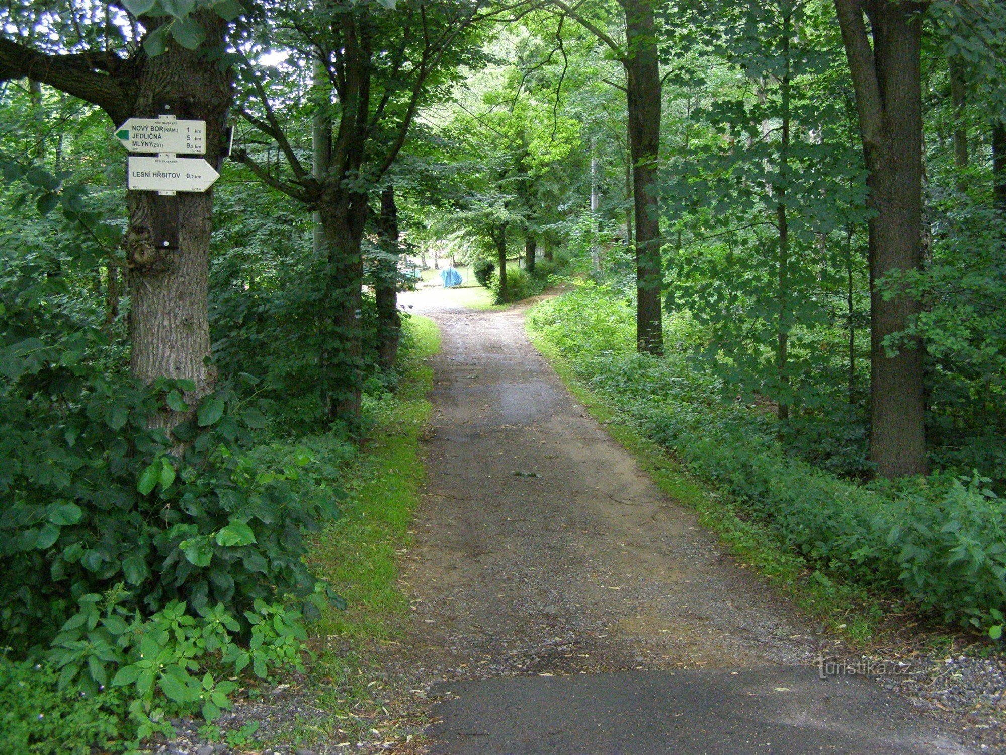 τουριστικό σταυροδρόμι Nový Bor - κοντά στο νεκροταφείο του δάσους