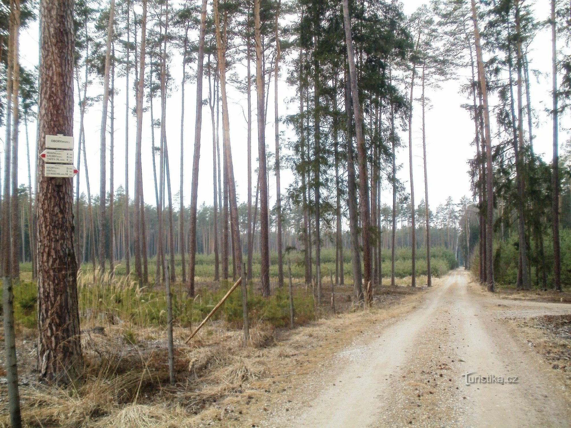 touristische Kreuzung Obory - Hradecké lesy