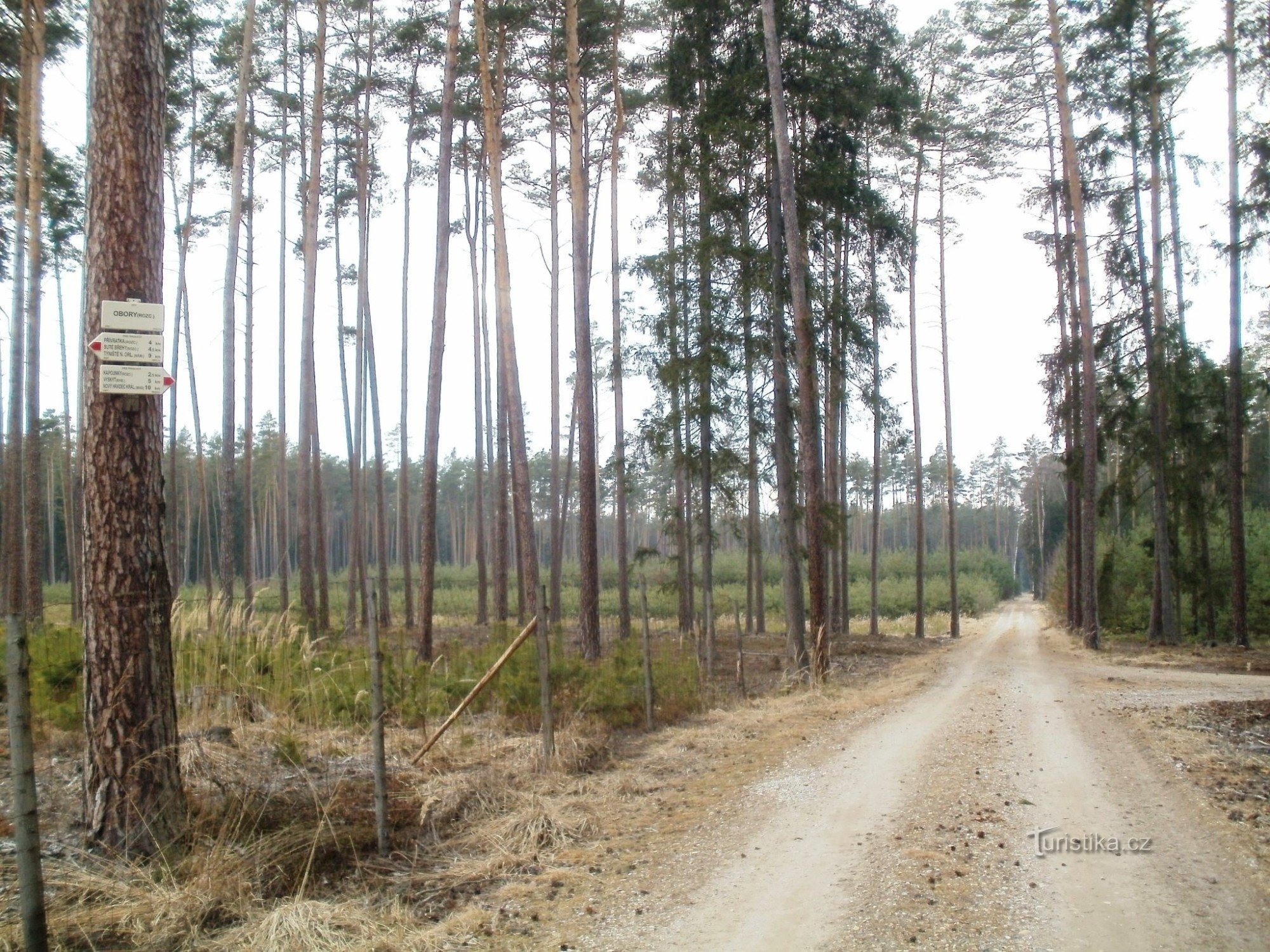 turistkorsning Obory - Hradecké lesy