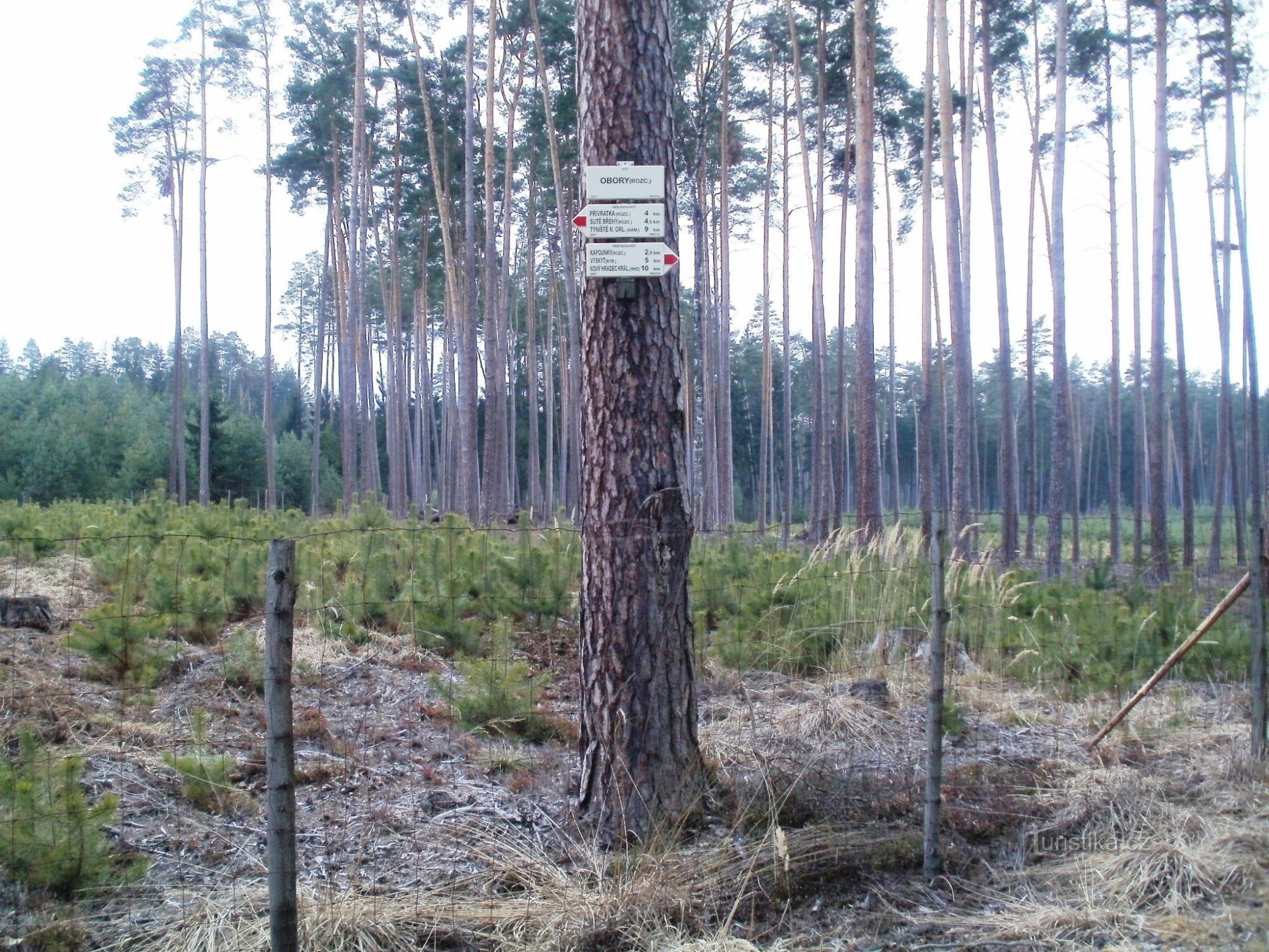 turistkorsning Obory - Hradecké lesy