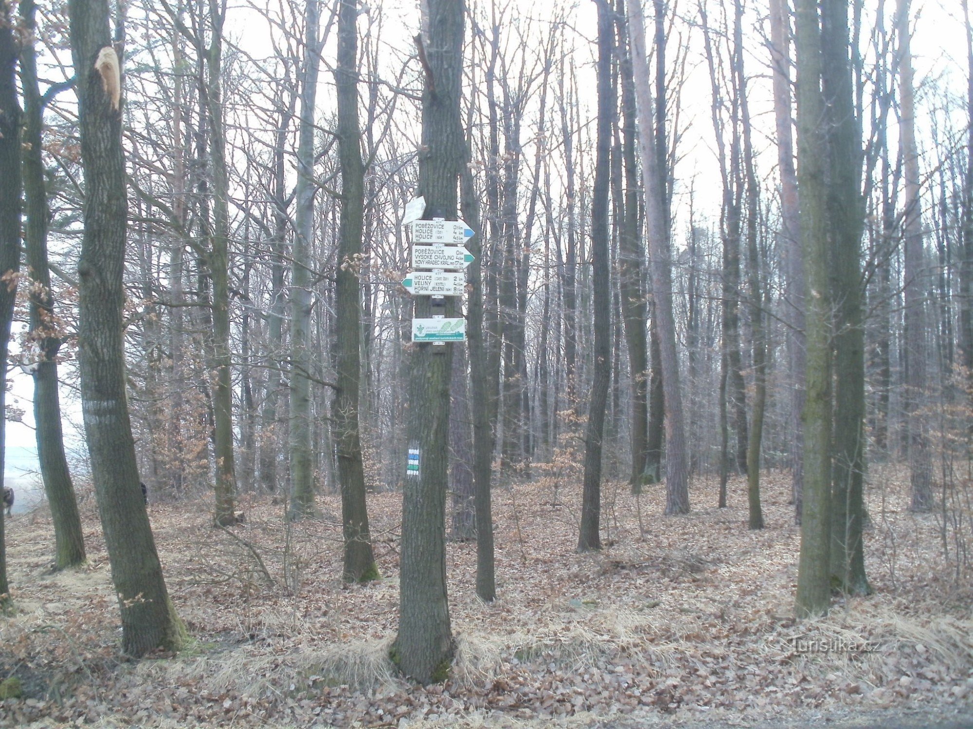 turističko raskrižje Ograničenja