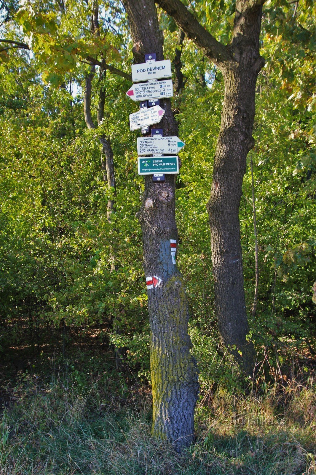 Turistkorsning Pod Děvínem