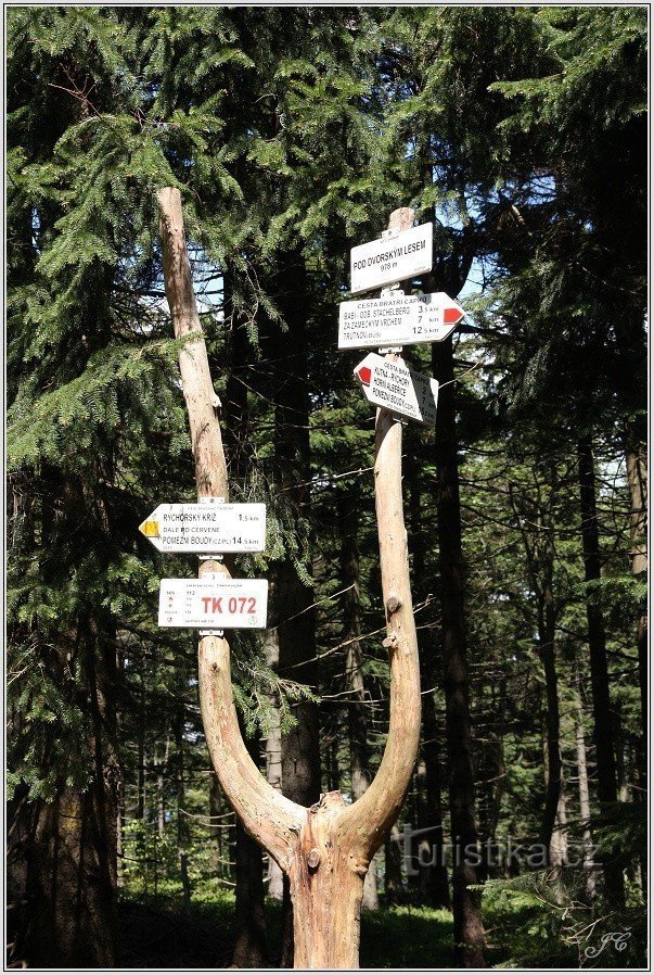 Tourist crossroads Under Dvorský lesem