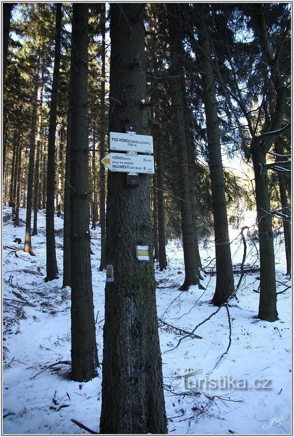 Rozdroże turystyczne Pod Homolí