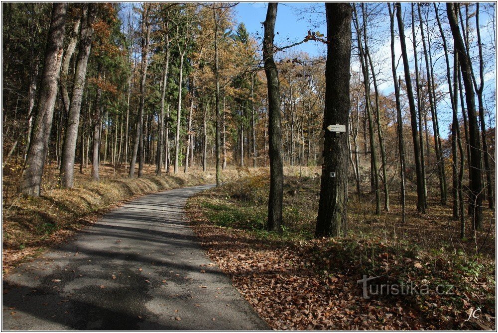 Turistické rozcestí Pod Janečkem