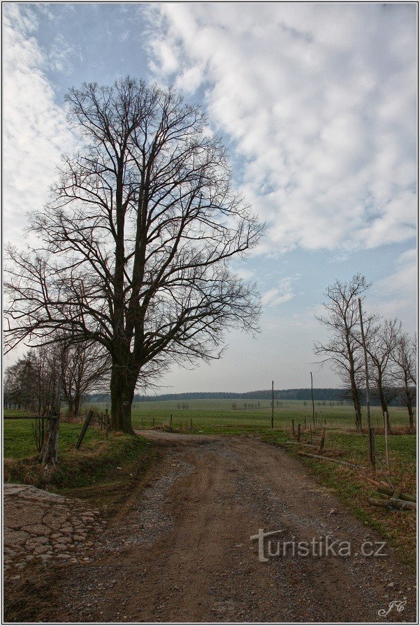 Turistično križišče Pod Rokytnicí