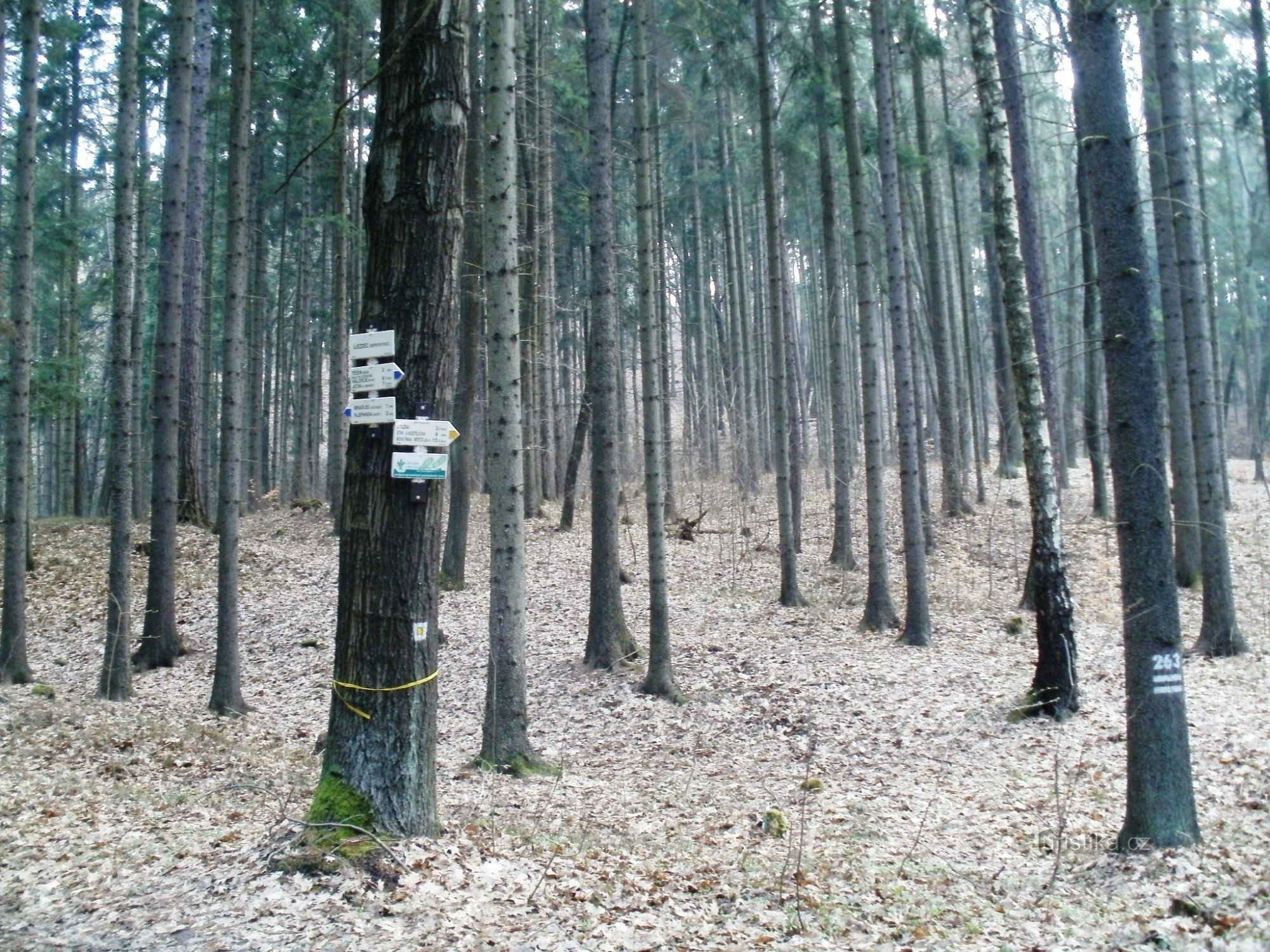 rozdroża turystyczne Pod Újezdcem, serpentyny