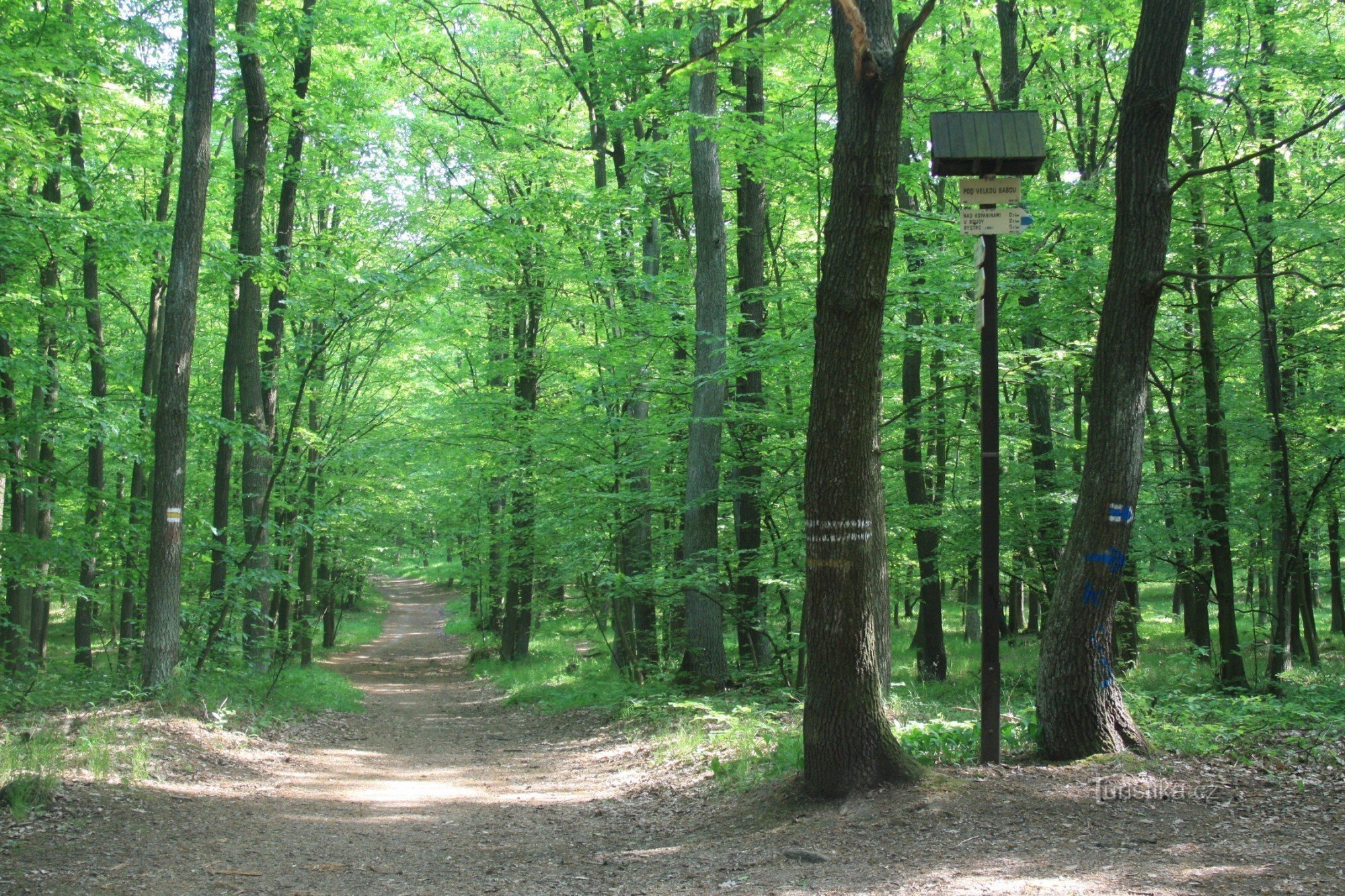 Tourist crossroads Under Velka Baba