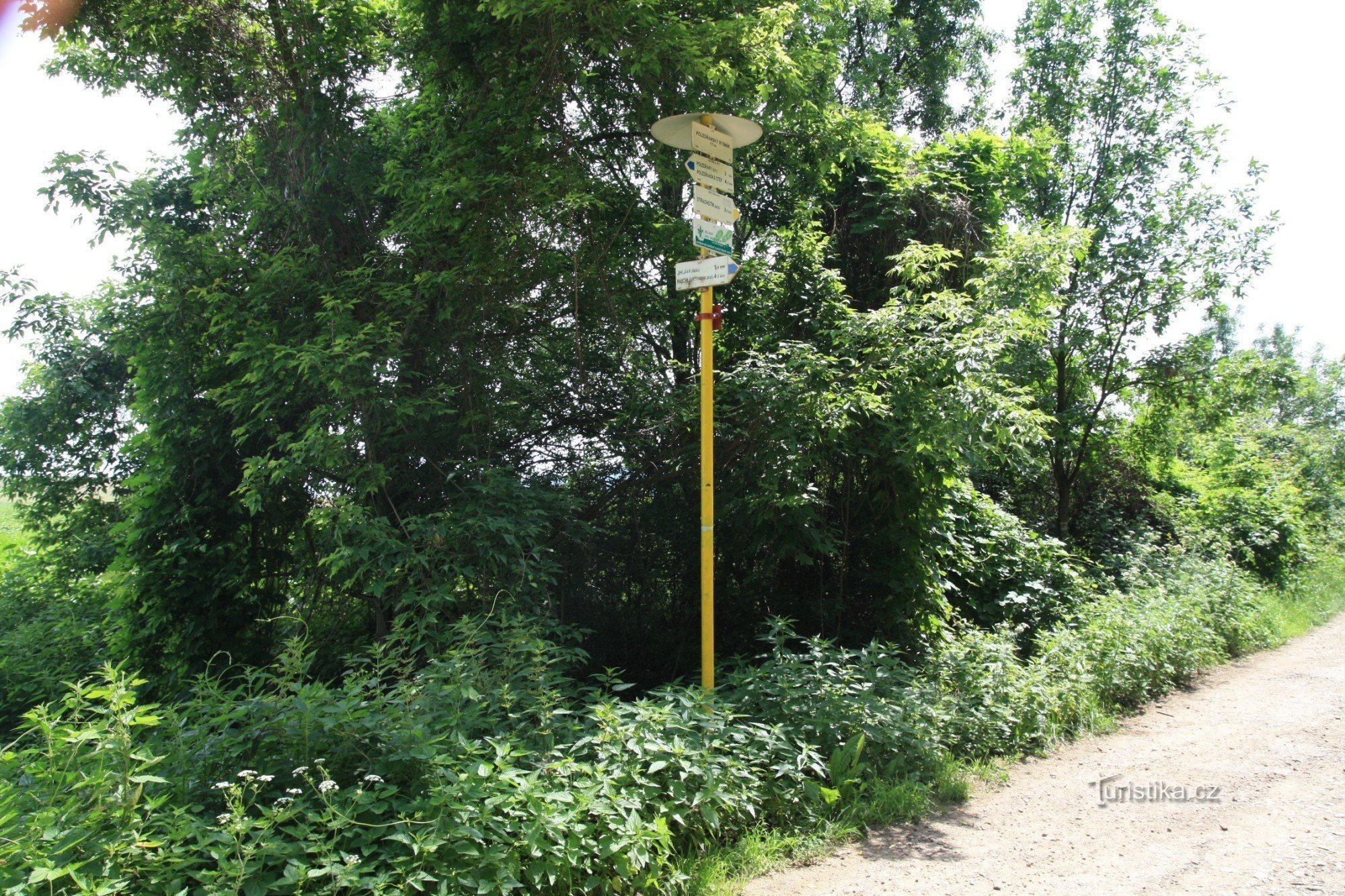 Pouzdřanský rybník tourist crossroads