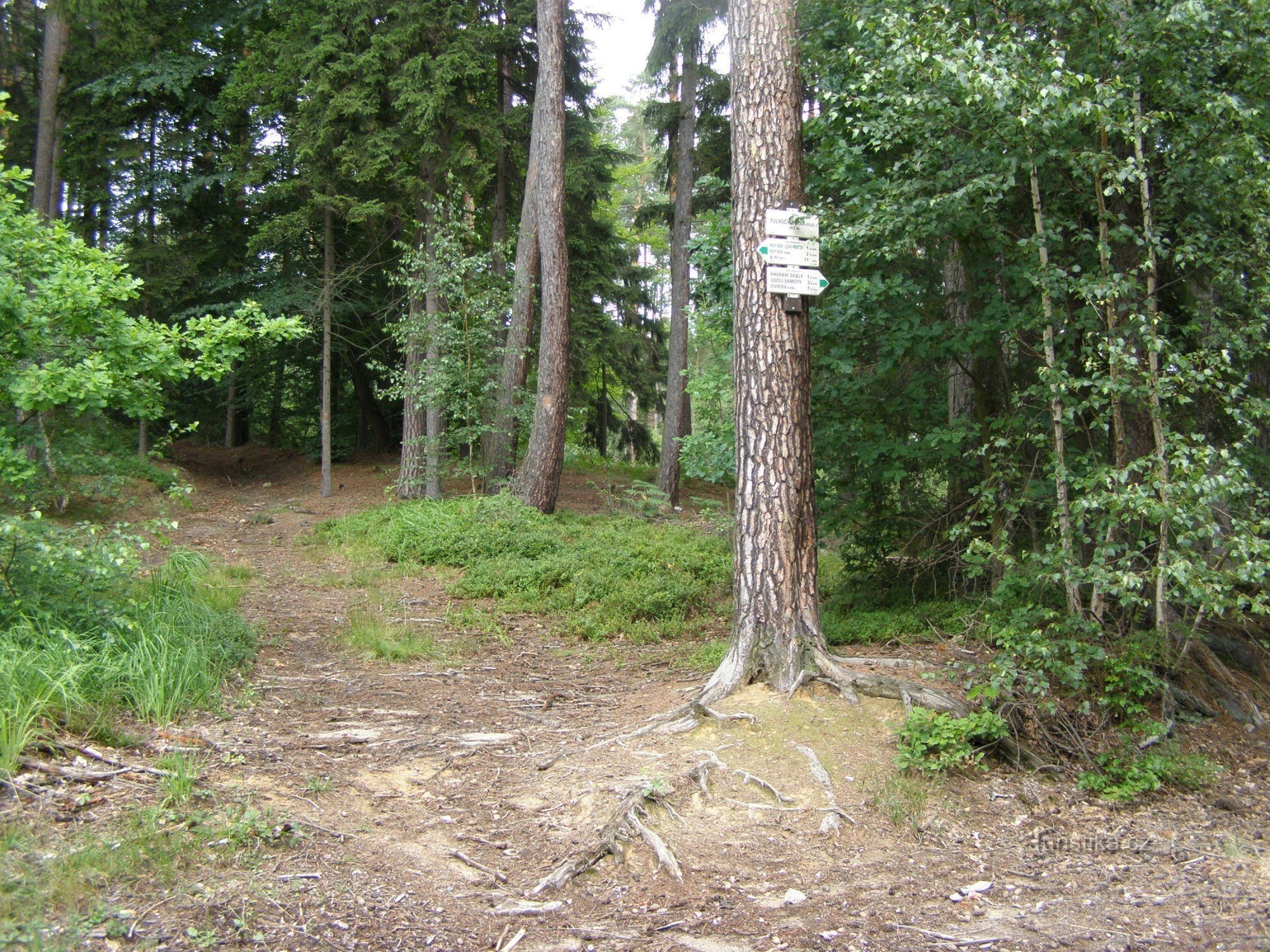 tourist crossroads Půlnoční straň