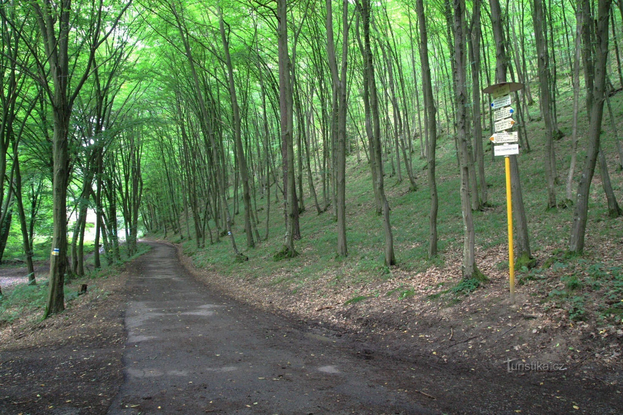 Tourist crossroads of the Říčka swimming pool