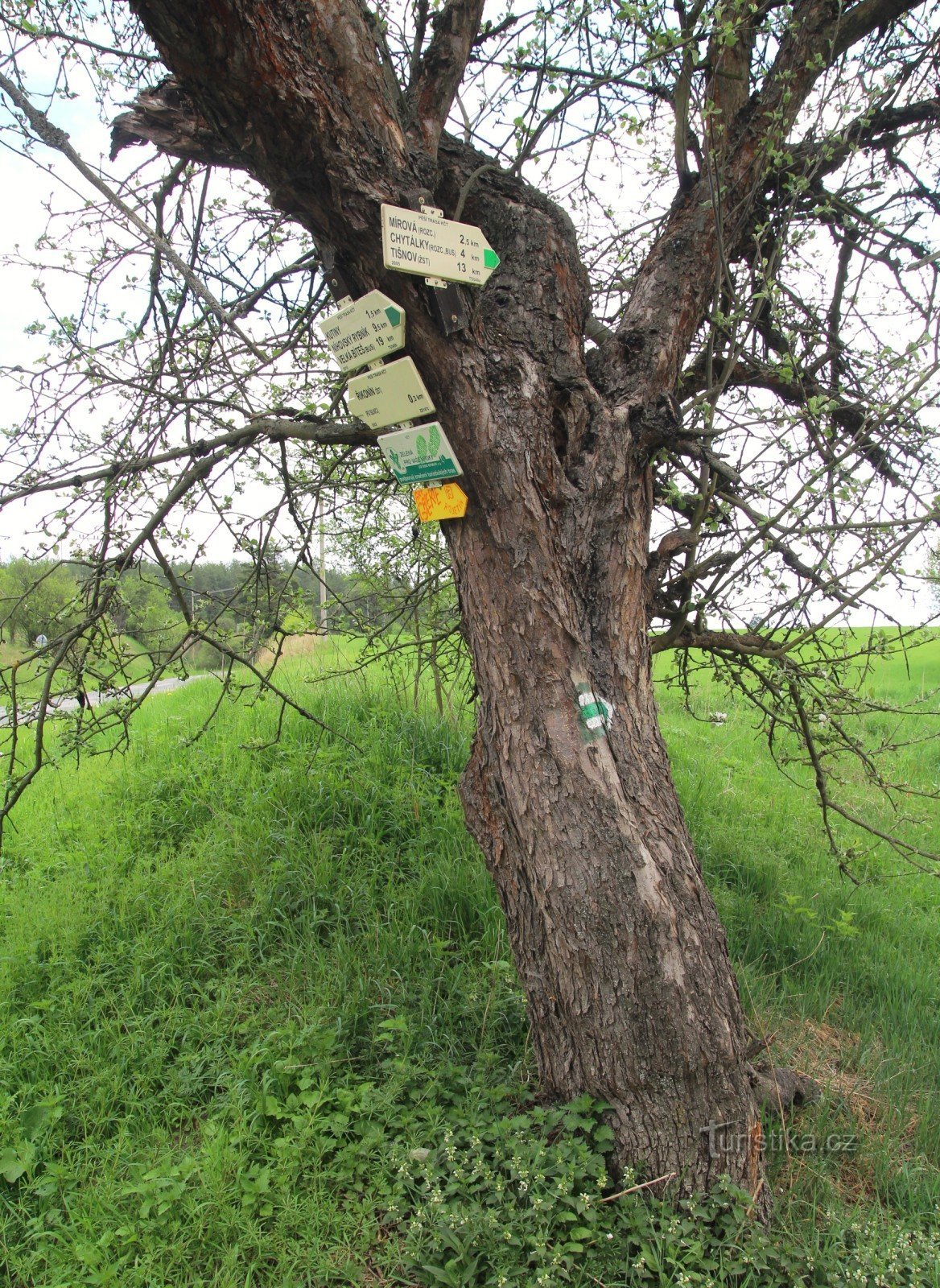 Řikonín tourist crossroads