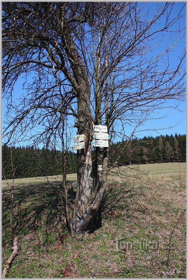 Rozdroże turystyczne Rožmitál, Nad lomem