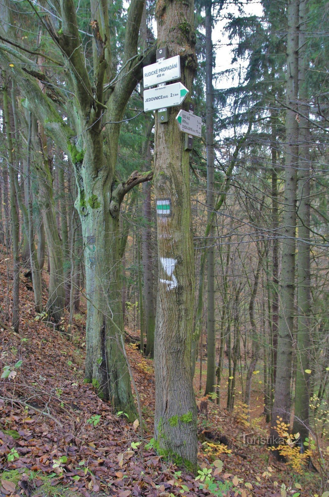 Encruzilhada turística Rudické propadání