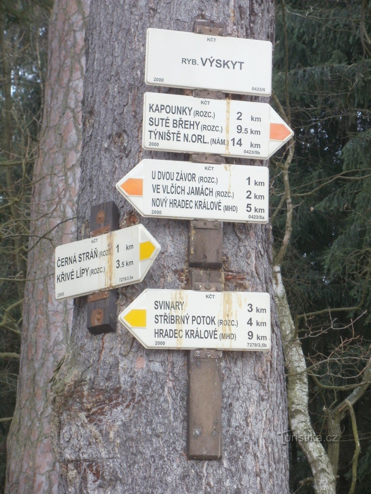 Touristenkreuzung Teich Vyskyt - Hradecké lesy