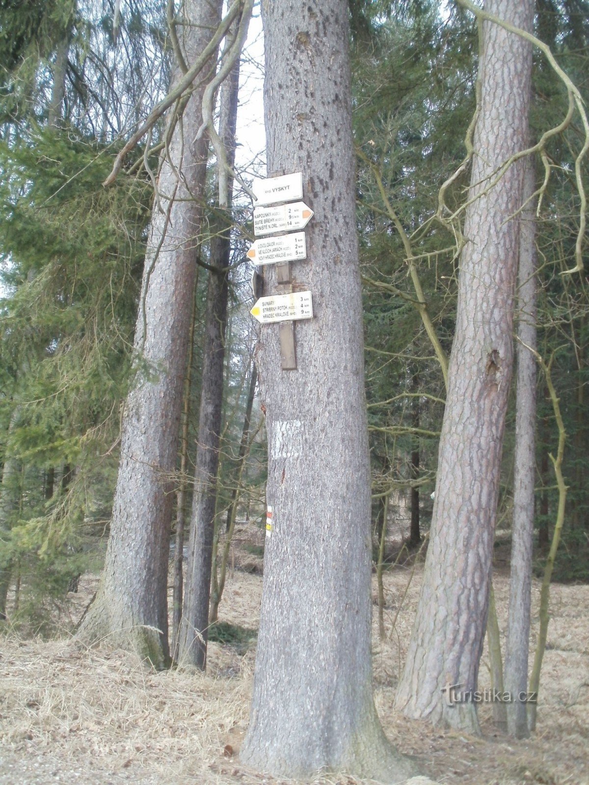 tourist crossroads pond Vyskyt - Hradecké lesy