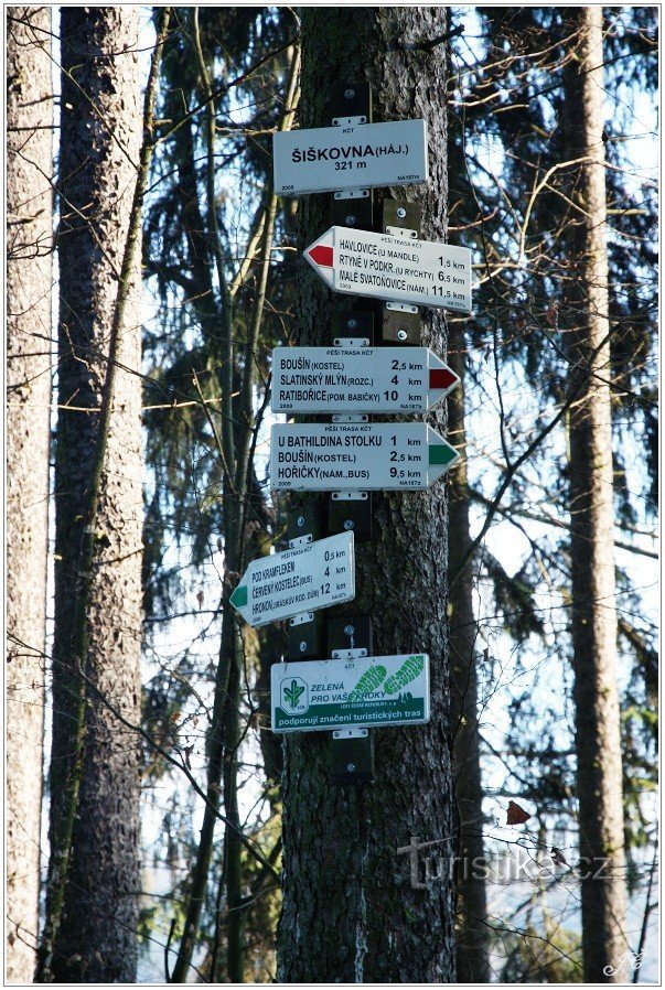 Tourist crossroads Šiškovna, grove.