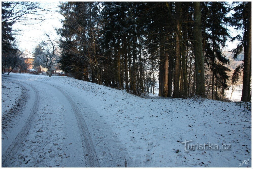 Rozdroża turystyczne Šiškovna, zagajnik.