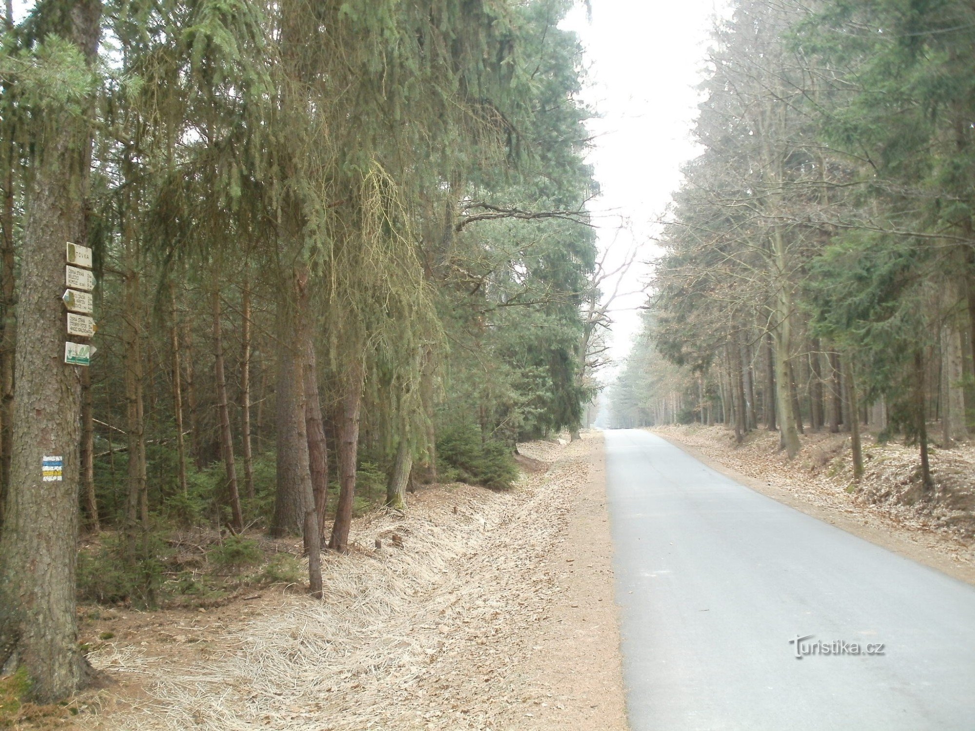 tourist crossroads Sítovka - Hradecké lesy