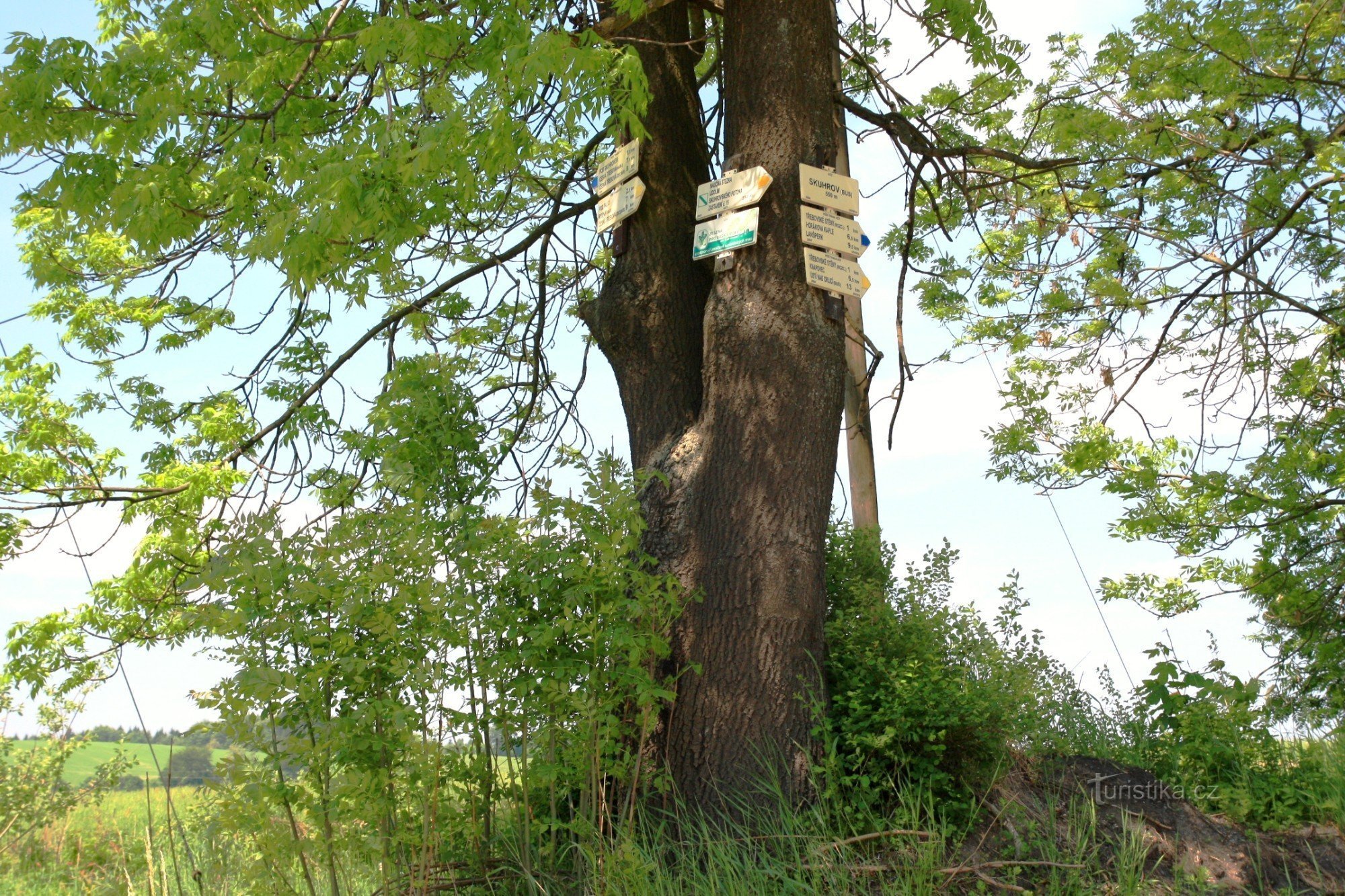 Turistické rozcestí Skuhrov