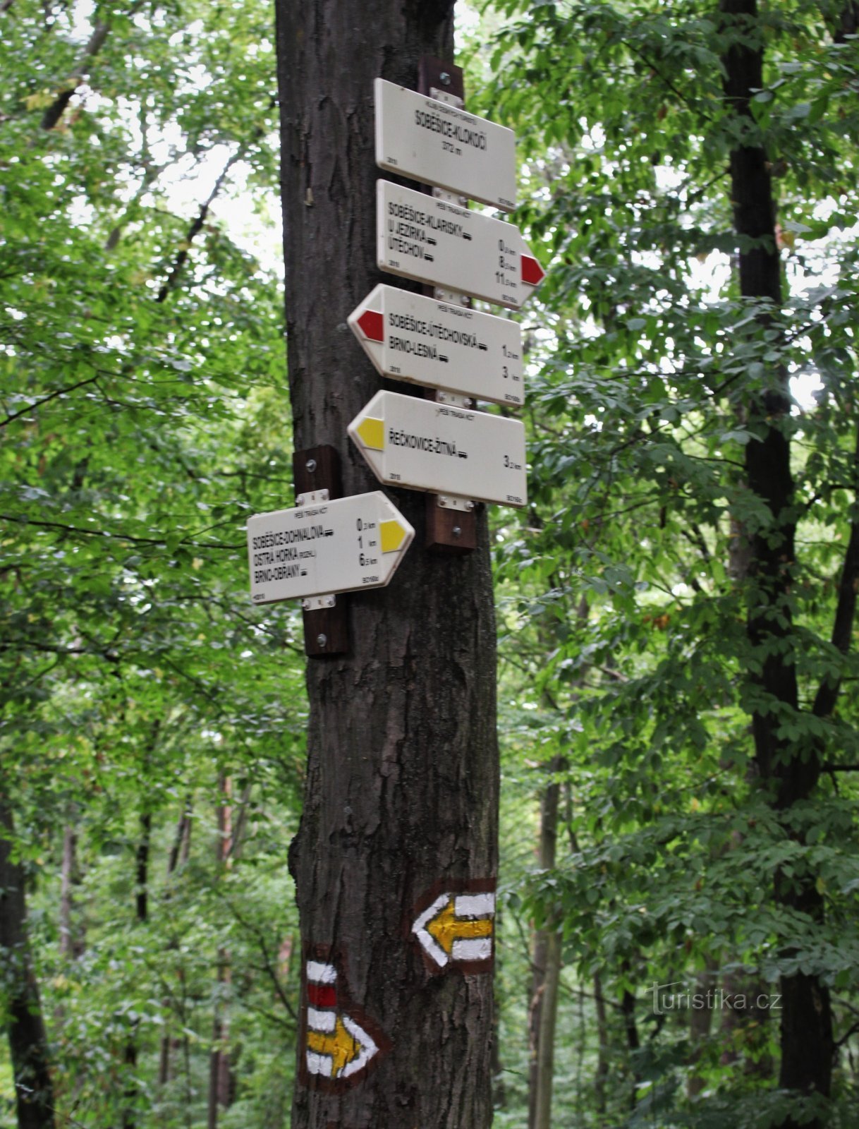 Tourist crossroads Soběšice-Klokočí