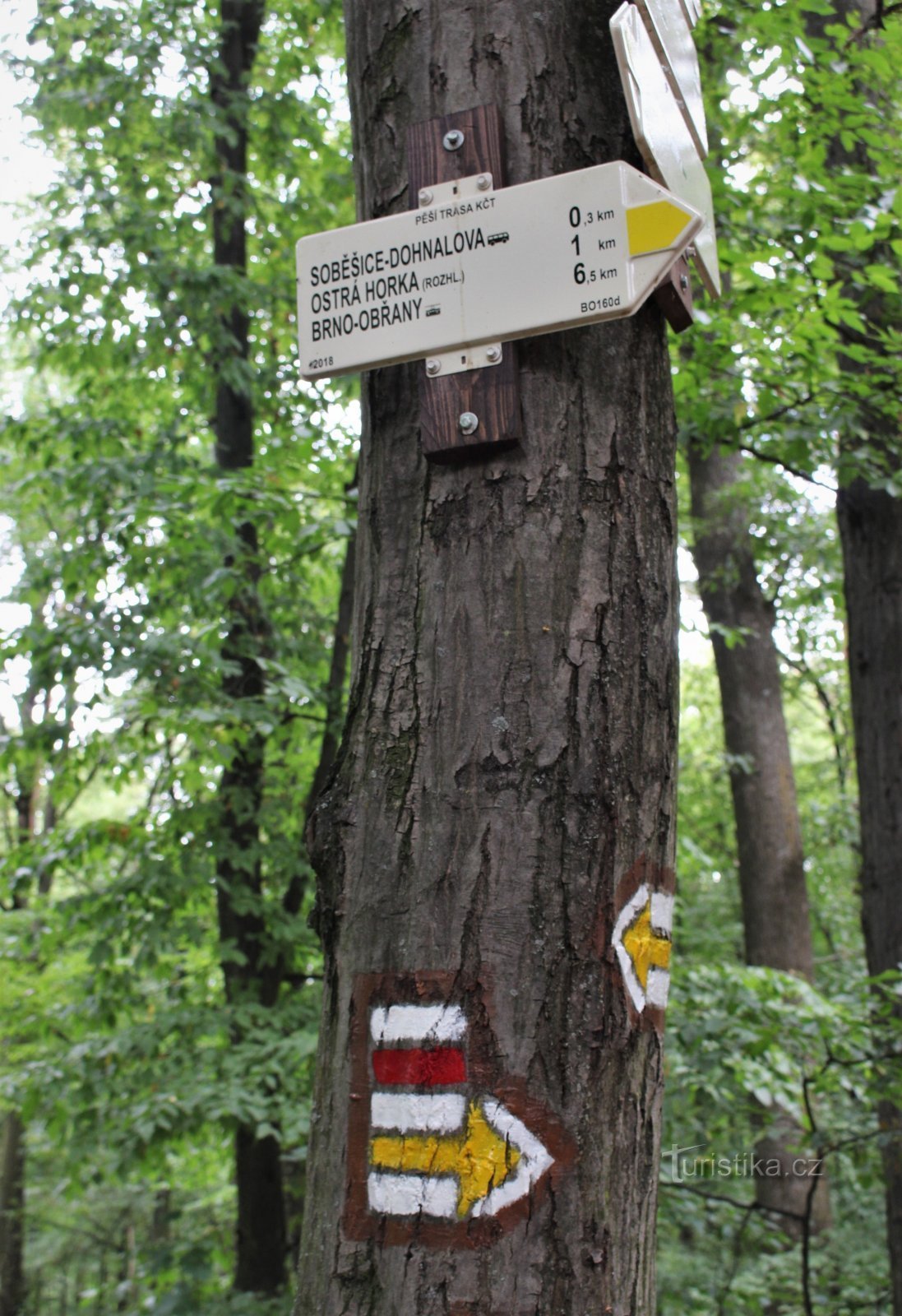 Tourist crossroads Soběšice-Klokočí