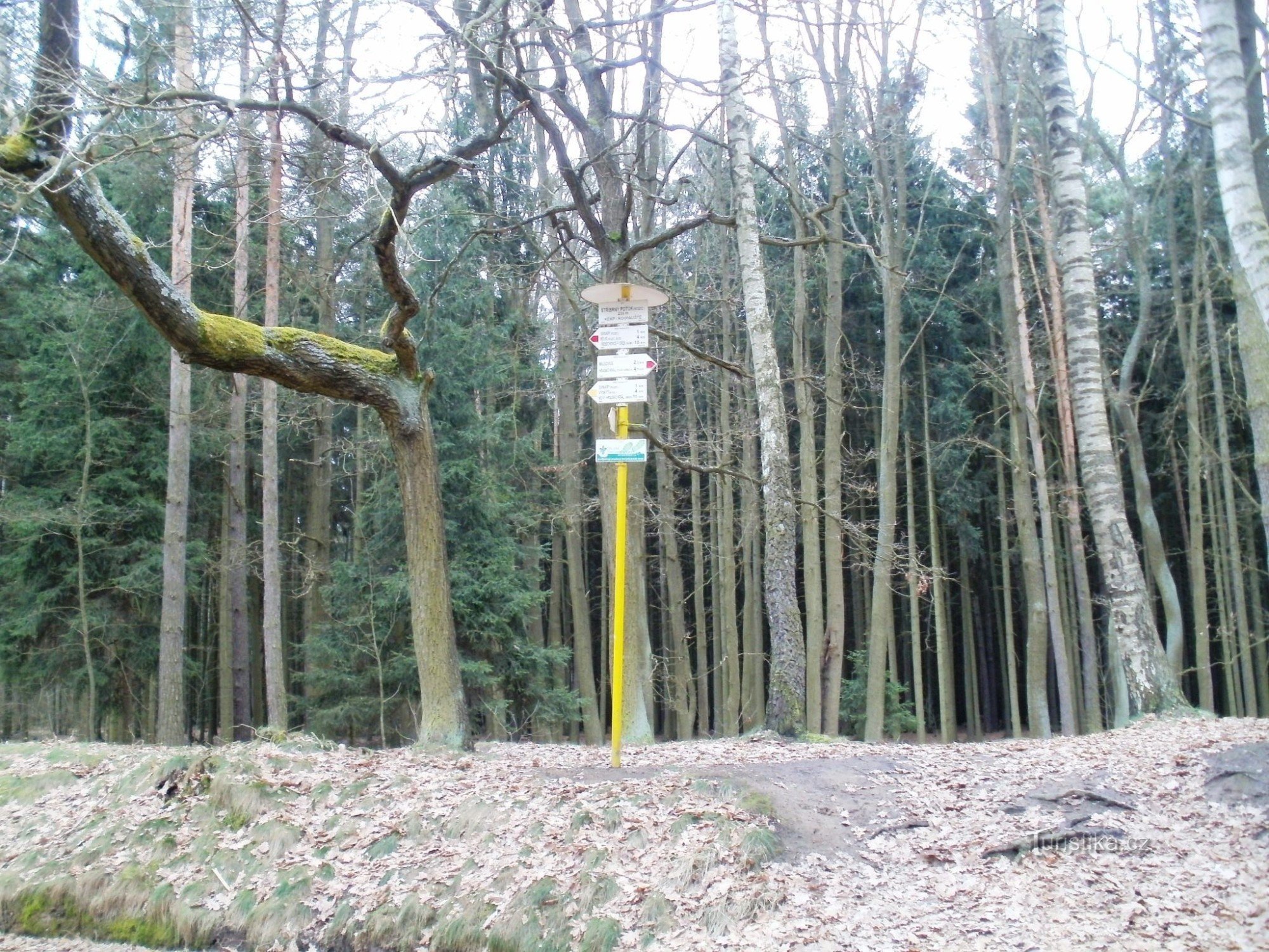 turističko raskrižje Srebrnog potoka