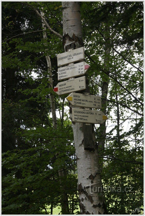 Răscruce turistică Studenský pădure inferioară