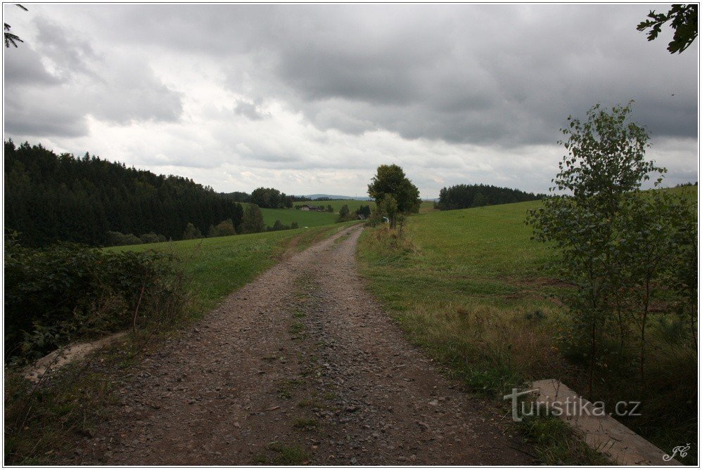 Toeristisch kruispunt Studenský lager bos