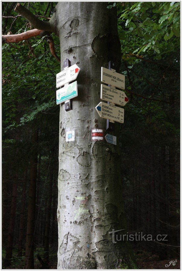 Rozdroże turystyczne Studenský les, Upper